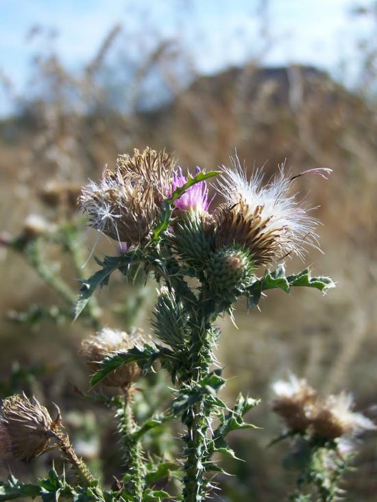 Дзержинський з panoramio.com - Дзержинський