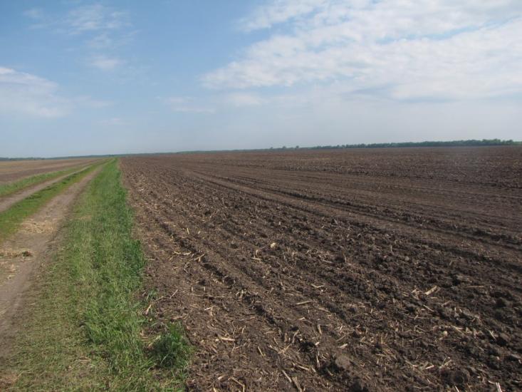 Яцьки з panoramio.com - Яцьки