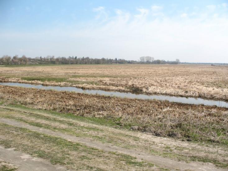 Добрятин з panoramio.com - Добрятин