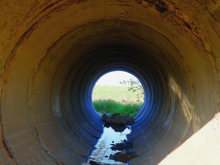 Шимшинівка з panoramio.com - Шимшиновка