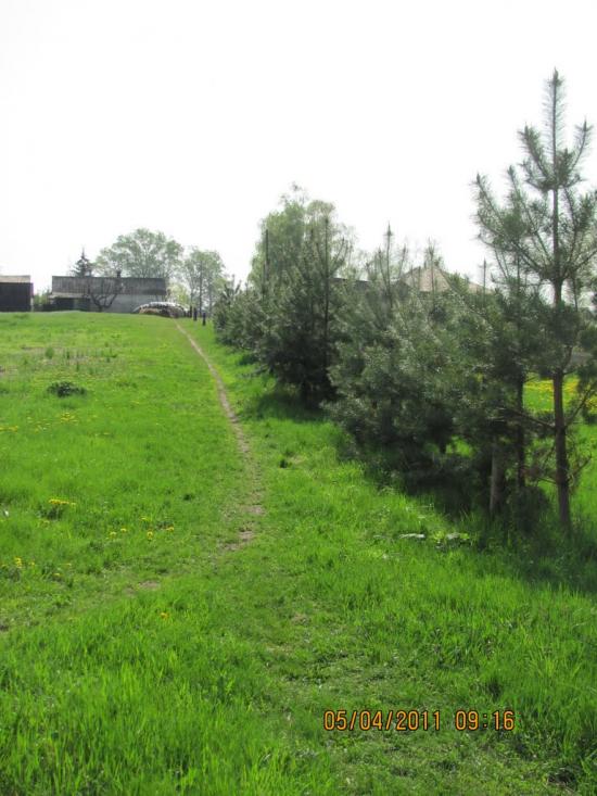 Мілуватка з panoramio.com - Меловатка