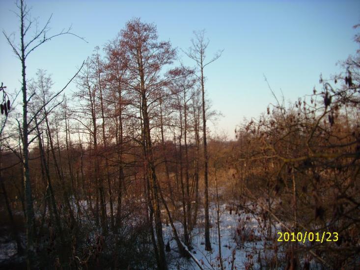 Варва з panoramio.com - Варва