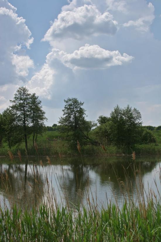 Вільховець з panoramio.com - Vilkhovets