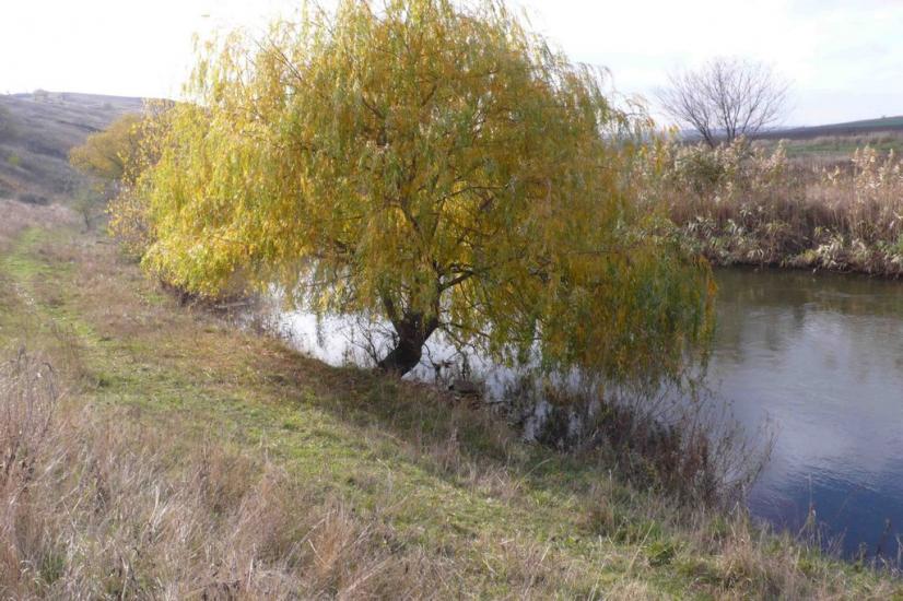 Новокатеринівка з panoramio.com - Новокатериновка