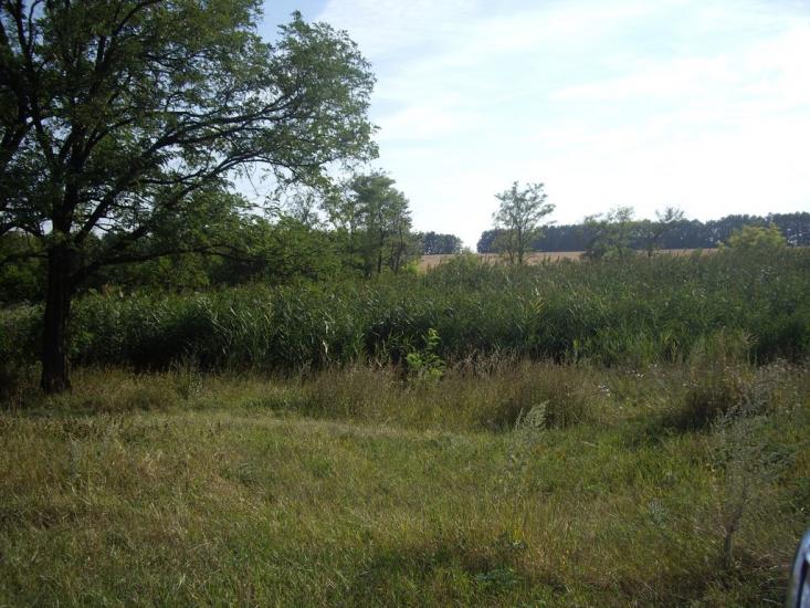 Арбузинка з panoramio.com - Арбузинка