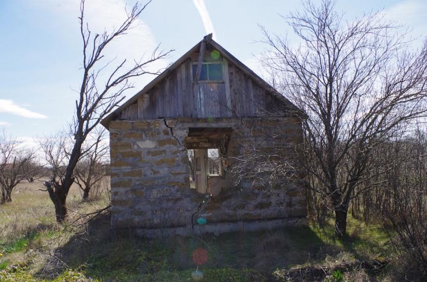 Новозбур'ївка з panoramio.com - Новозбур'ївка