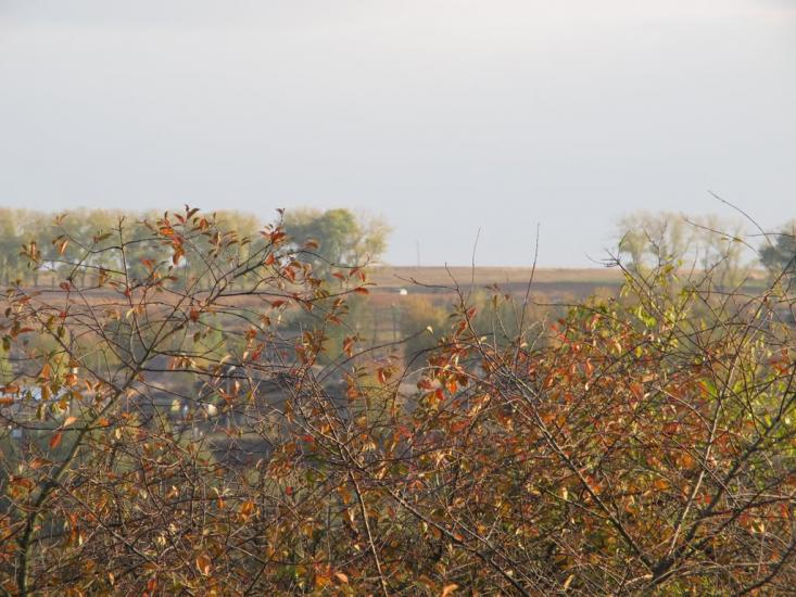 Ставище з panoramio.com - Ставище