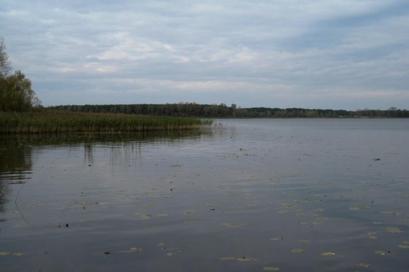 Млин з panoramio.com - Mlyn