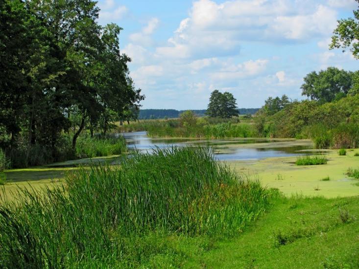 Четвертня з panoramio.com - Четвертня
