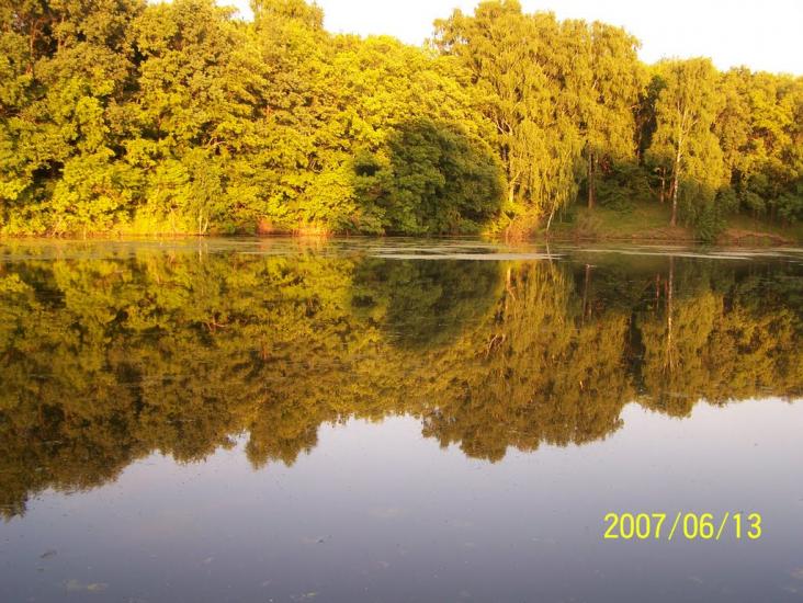 Берізка з panoramio.com - Berizka