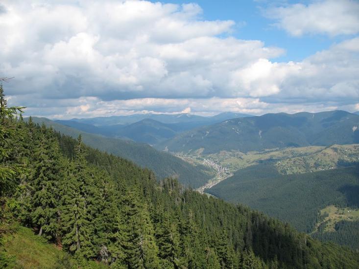 Стригальня з panoramio.com - Стригальня