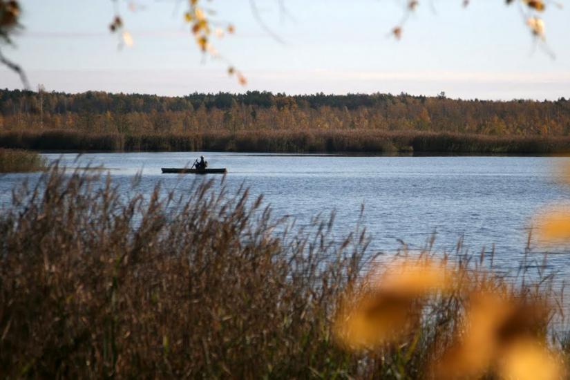Жовтневе з panoramio.com - Жовтневе