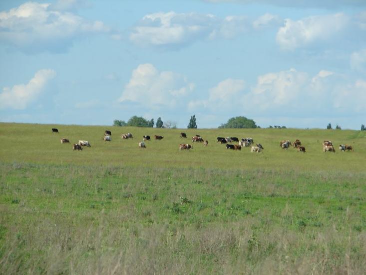 Рудка з panoramio.com - Рудка