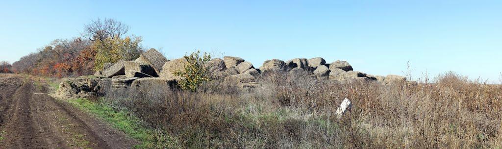 Кам'янка з panoramio.com - Каменка