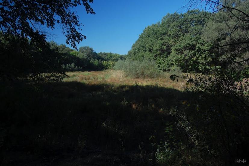 Сокільники з panoramio.com - Сокольники