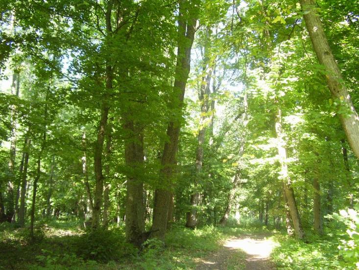 Рибальське з panoramio.com - Рибальське