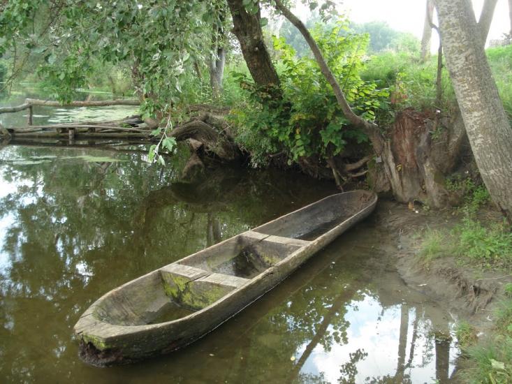 Кунцеве з panoramio.com - Кунцеве