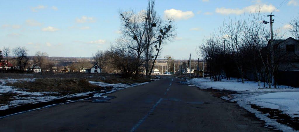 Пугачівка з panoramio.com - Пугачівка