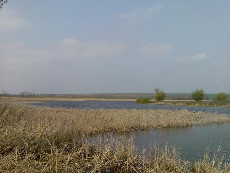 Грибенинка з panoramio.com - Грибенинка