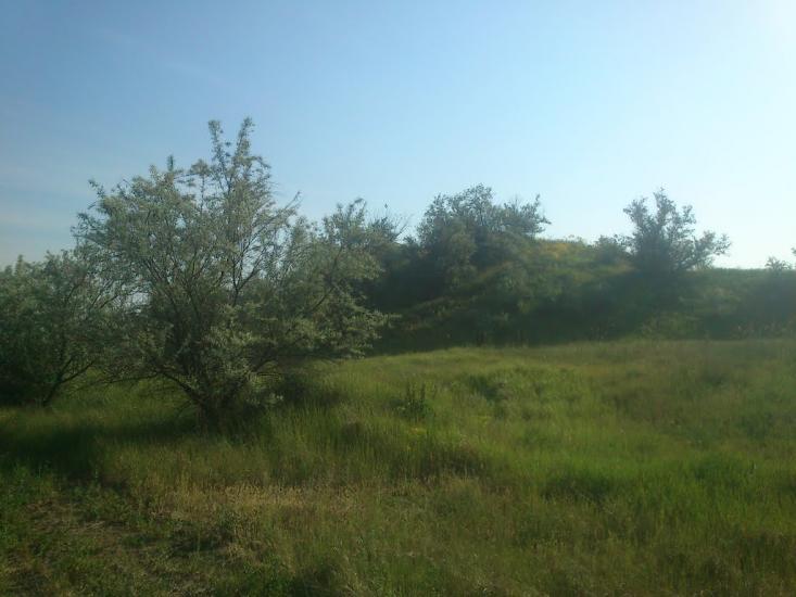 Орджонікідзе з panoramio.com - Орджоникидзе