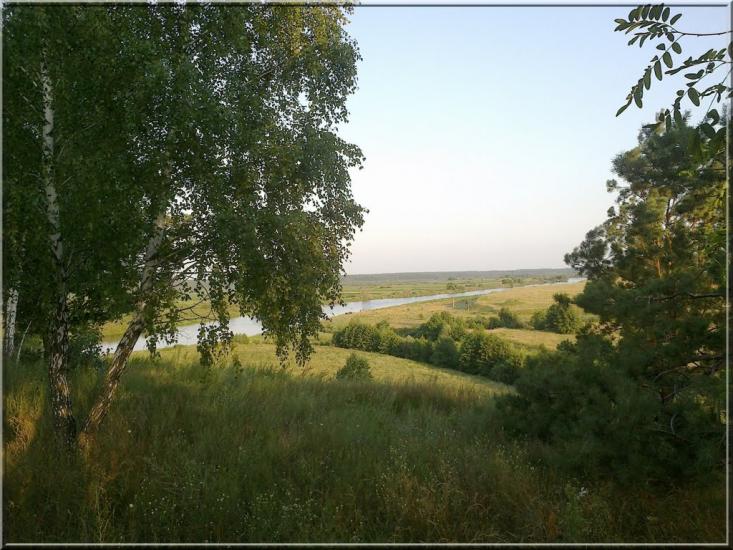 Рогівка з panoramio.com - Rogivka
