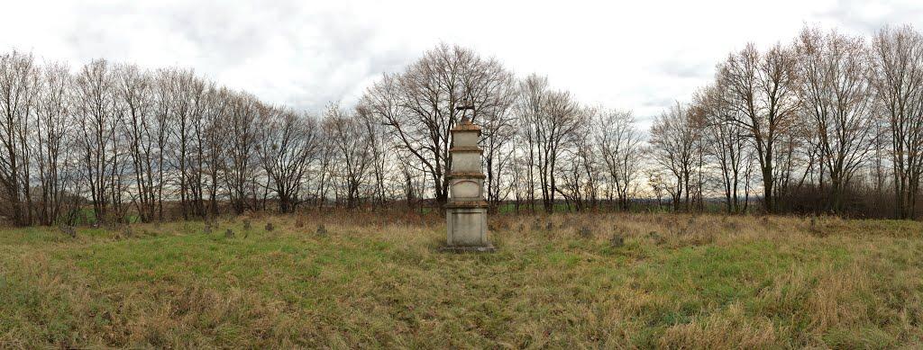 Жовтанці з panoramio.com - Жовтанці