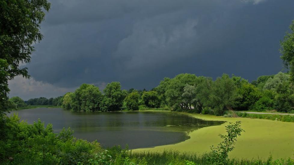 Шапіївка з panoramio.com - Шапіївка