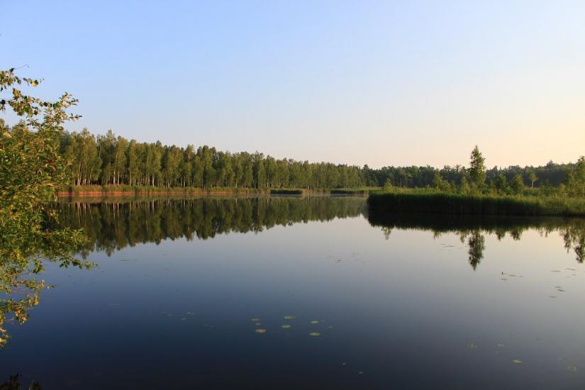 Жовтневе з panoramio.com - Жовтневе