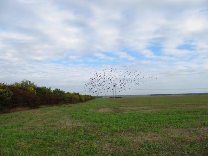 Будки з panoramio.com - Budky