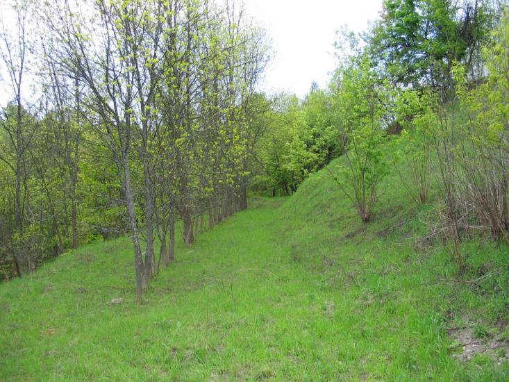 Гірки з panoramio.com - Горки