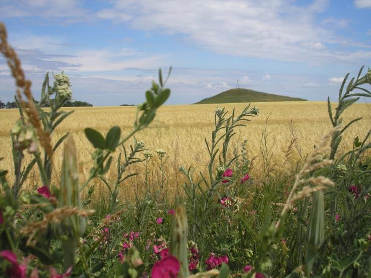 Наглядівка з panoramio.com - Наглядівка