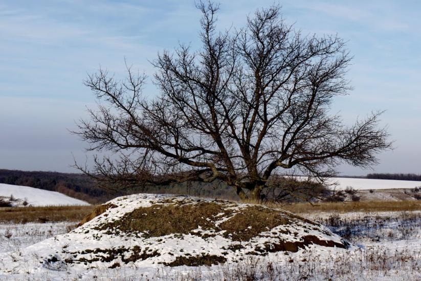 Подорожнє з panoramio.com - Podorozhnye