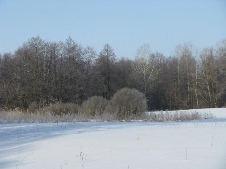 Троянівка з panoramio.com - Трояновка