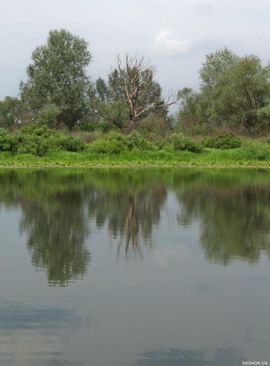 Соколівка з panoramio.com - Соколівка