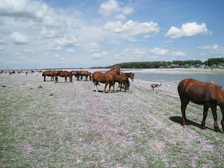 Салтикова Дівиця з panoramio.com - Салтикова Дівиця