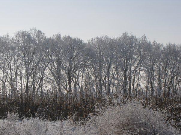 Подорожнє з panoramio.com - Подорожнє