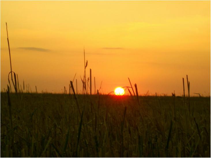 Ватутіне з panoramio.com - Ватутіне