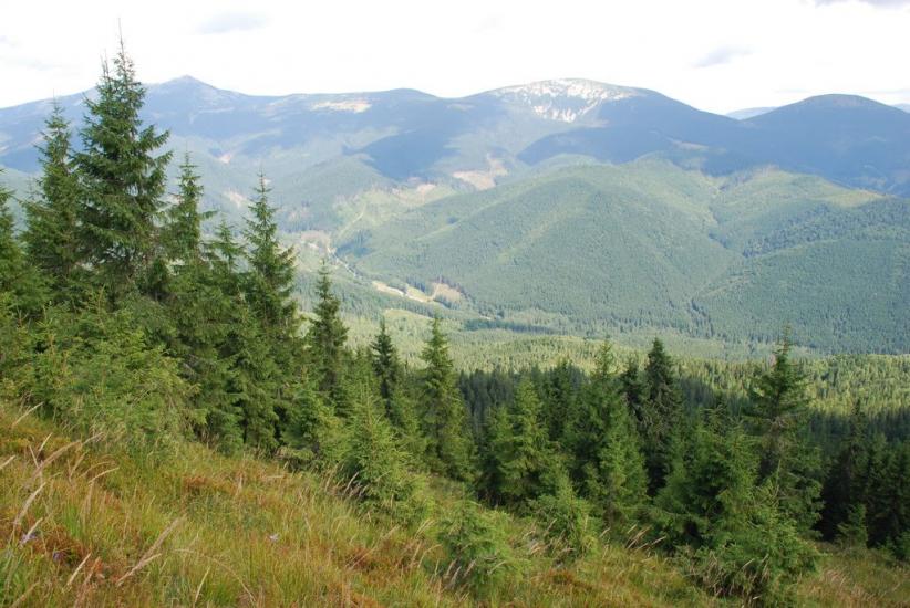 Згари з panoramio.com - Згари