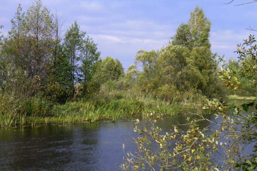 Млин з panoramio.com - Млын