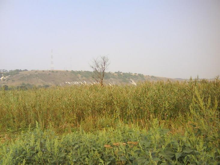 Новоайдар з panoramio.com - Новоайдар