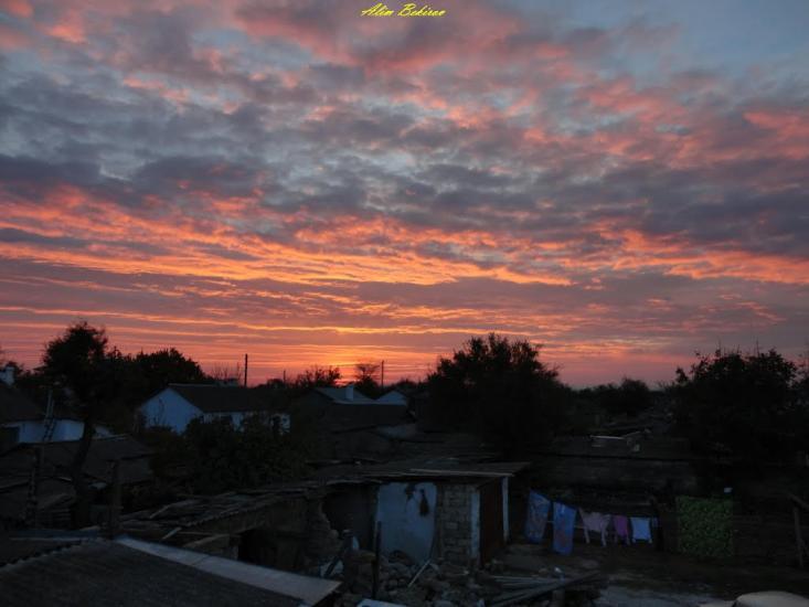 Вересаєве з panoramio.com - Вересаєве