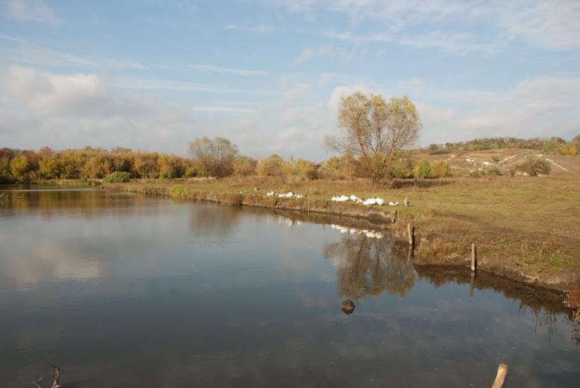 Катеринівка з panoramio.com - Катериновка