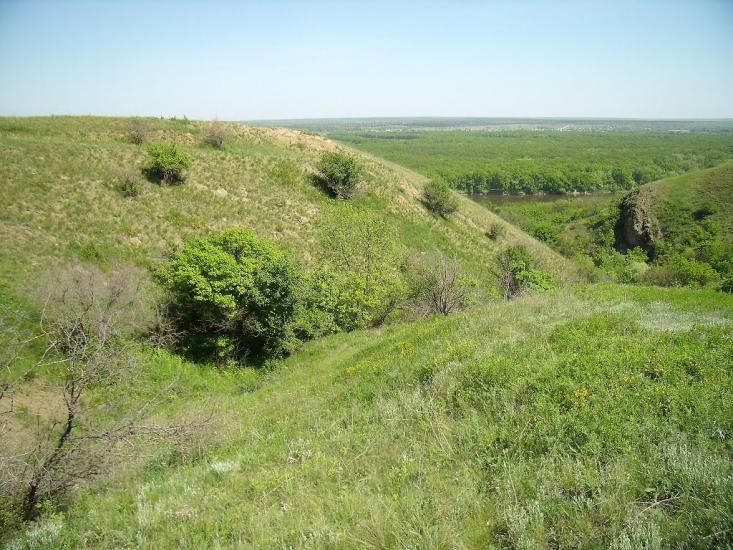 Попівка з panoramio.com - Поповка