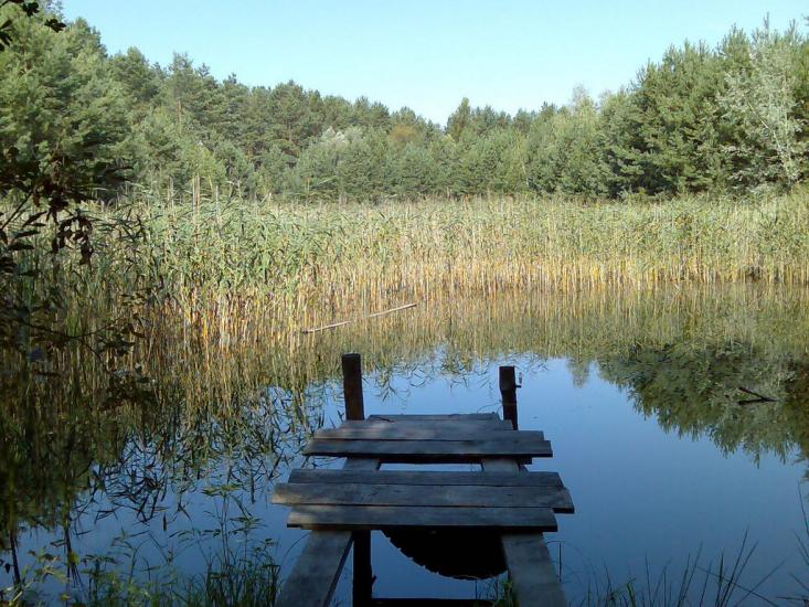 Жукин з panoramio.com - Жукин