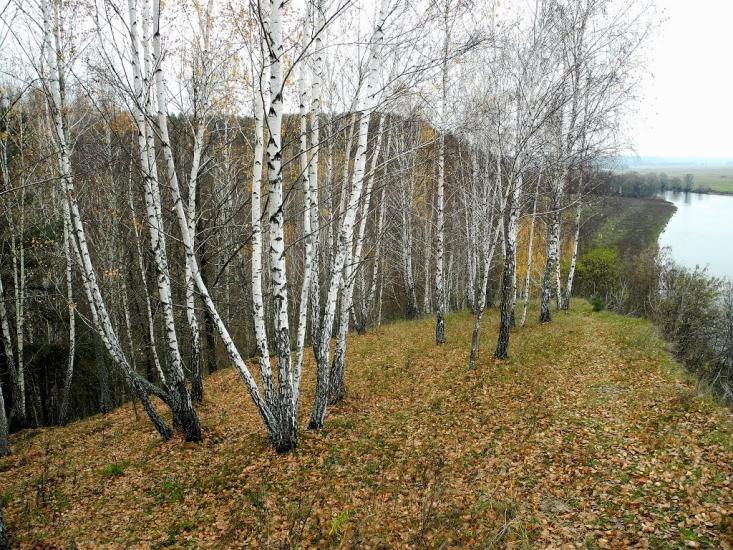 Радичів з panoramio.com - Радичев