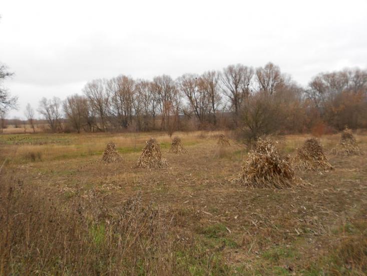 Думанці з panoramio.com - Думанцы