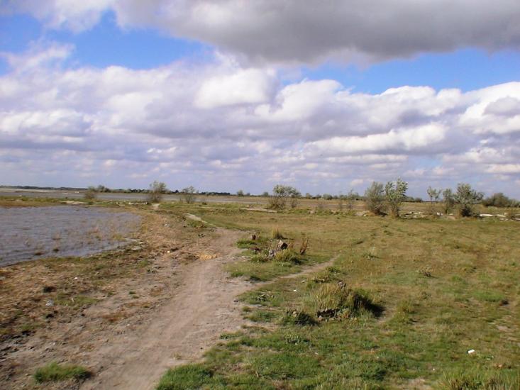 Роздольне з panoramio.com - Раздольное