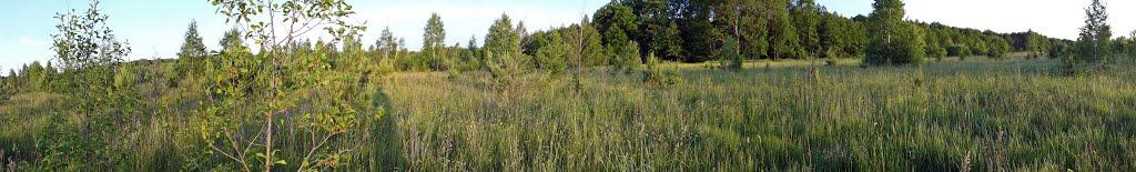 Лебіддя з panoramio.com - Лебіддя