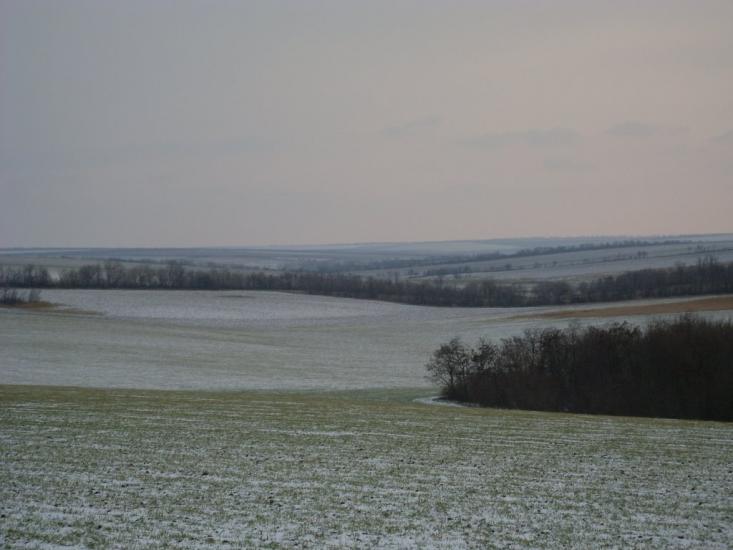 Кузнецове з panoramio.com - Кузнецово