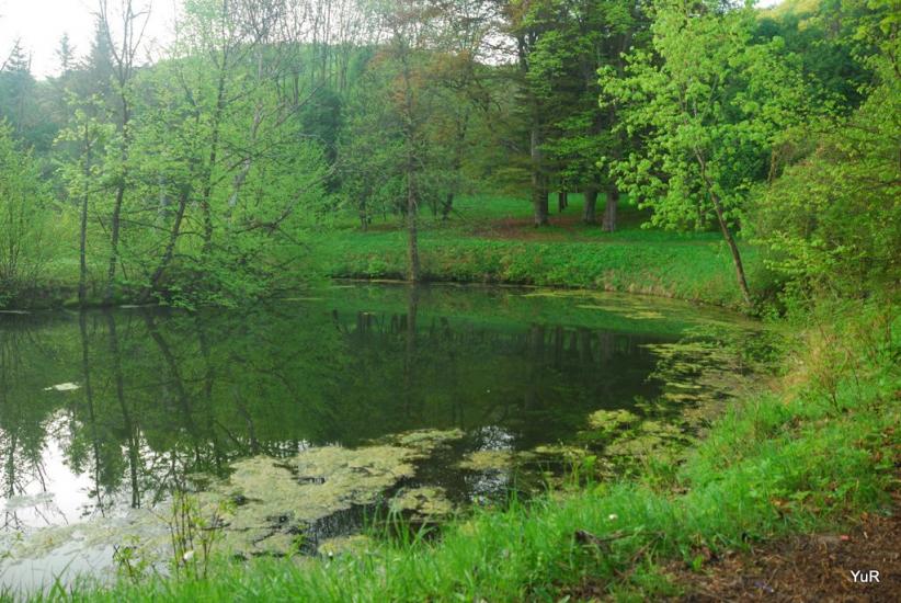 Рай з panoramio.com - Рай